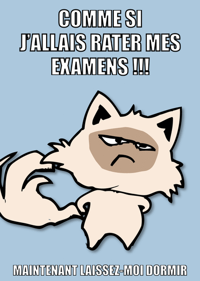 Carte Comme Si J'allais Rater Mes Examens ! : Envoyer une 